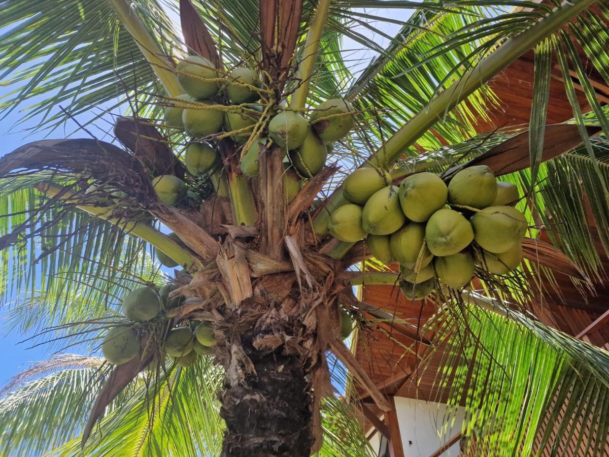 Praia De Itacimirim, Pe Na Areia Eksteriør billede